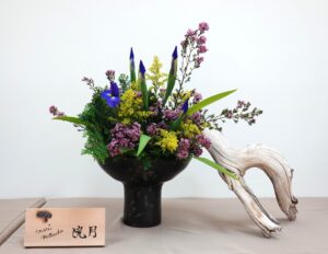 gallery16 - 17_Mari_DSC01770