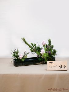 gallery19 - Jini Yoshimoto Akine 煌音